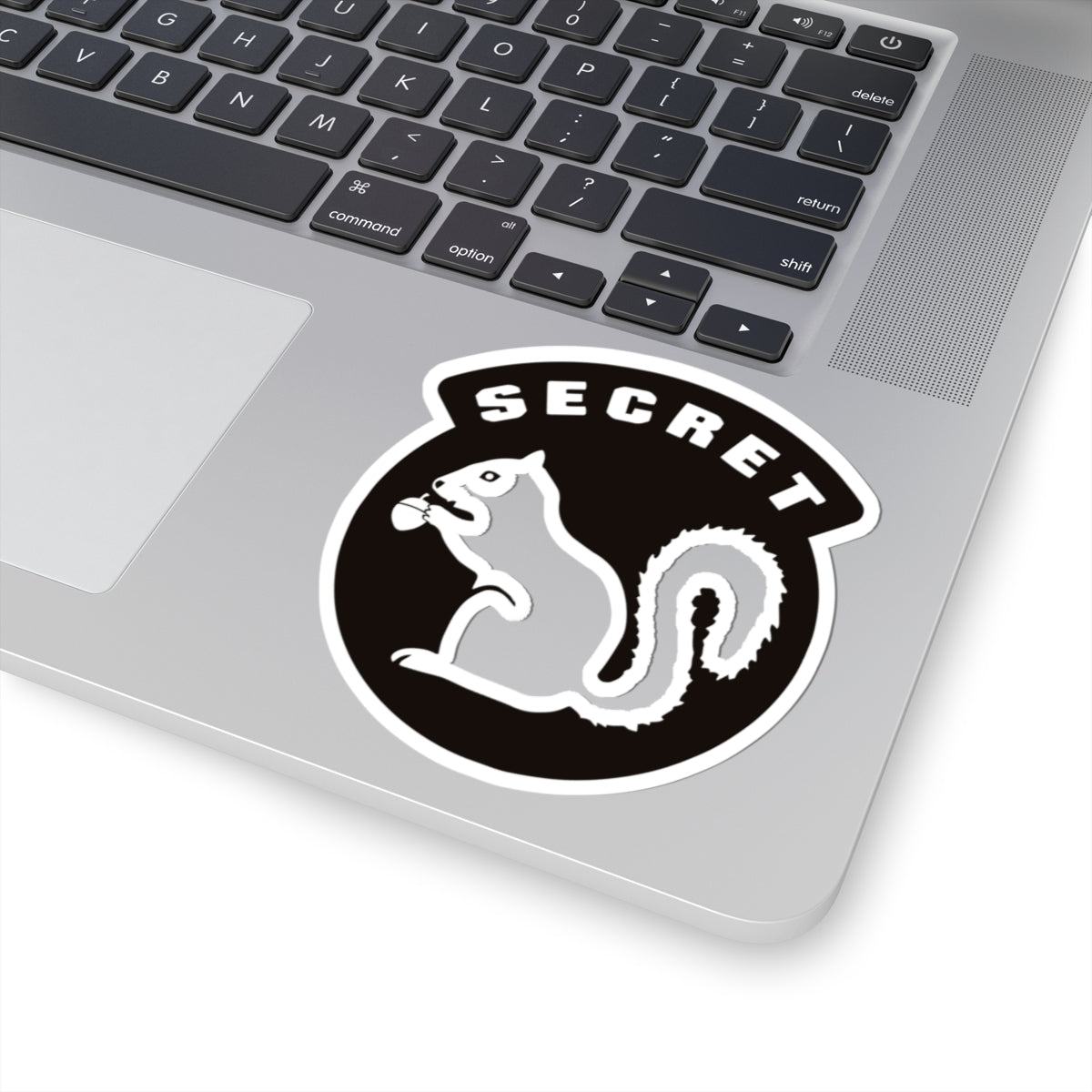 Secret Squirrel Sticker