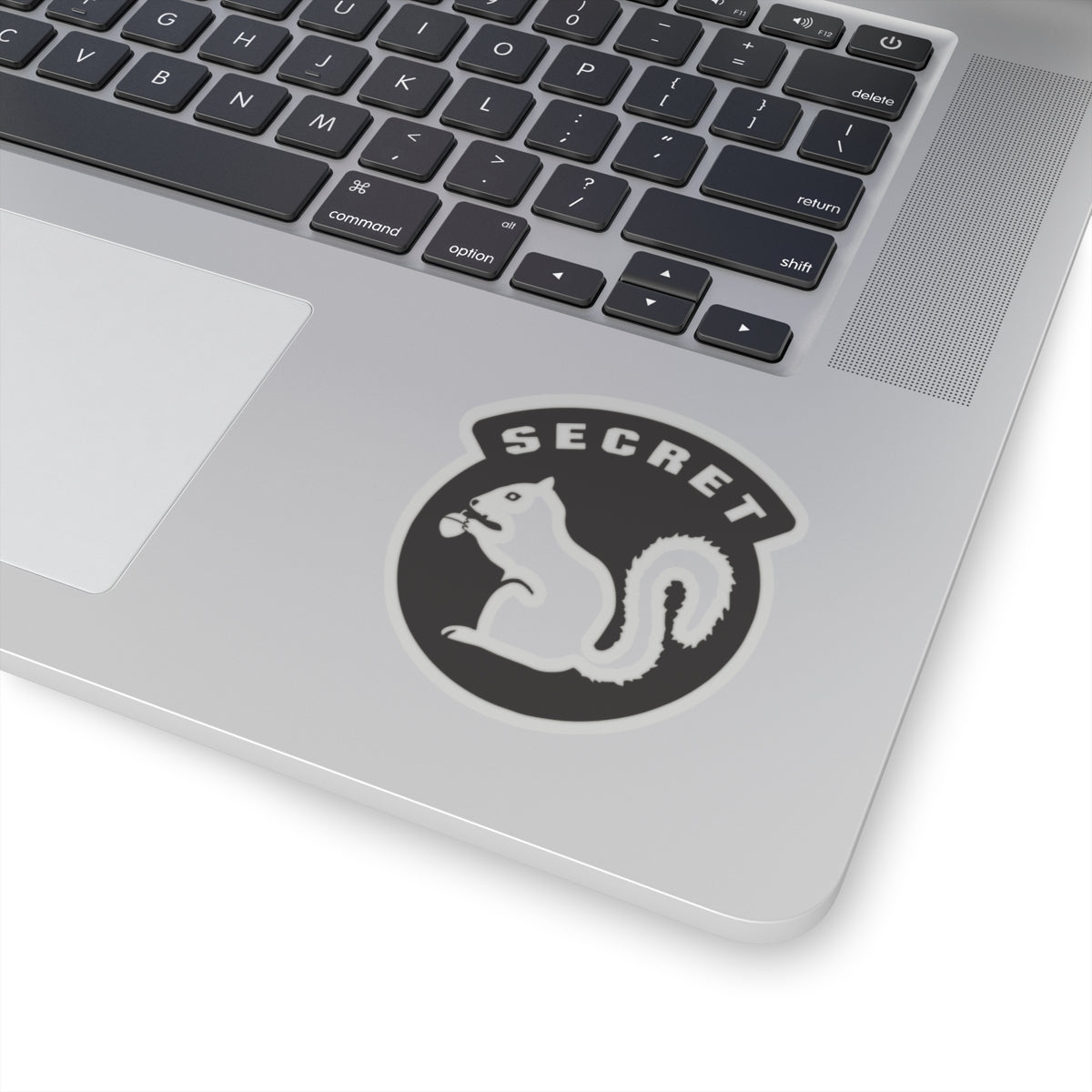 Secret Squirrel Sticker