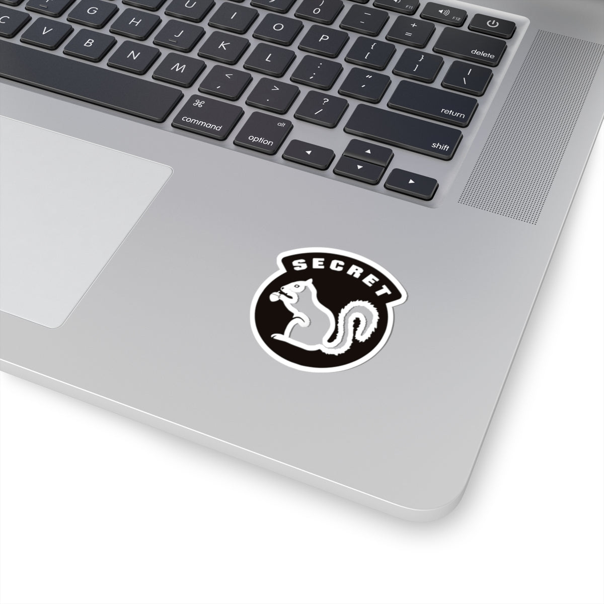 Secret Squirrel Sticker